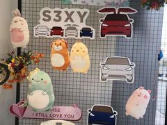 -TESLA 特斯拉(广州天环广场体验店)