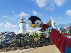 -芜湖新华联大白鲸海洋公园