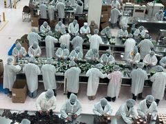 -歌斐颂巧克力小镇