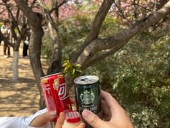 -西安青龙寺遗址景区