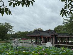 -惠州西湖丰渚园