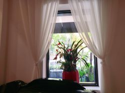 点击看大图 -Garden花園造型