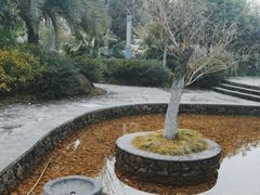 -武汉园博园(武汉自然博物馆)