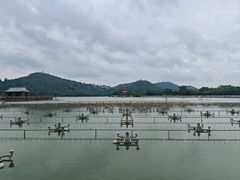-顺峰山公园