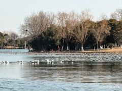 -云龙湖旅游景区