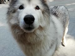 -一大糕点(纬六路店)