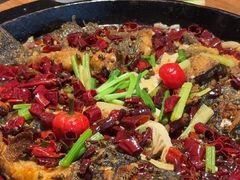 -老板恋上鱼(恒隆广场店)