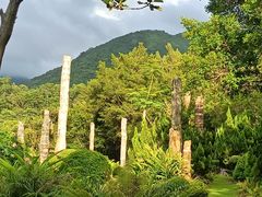 -深圳仙湖植物园