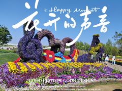 -荷兰花海