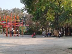 -荔湾湖公园