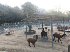 -西安秦岭野生动物园
