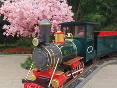 -南宫五洲植物乐园