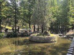 -白水寺森林公园