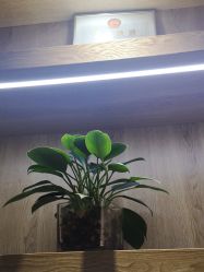 -苑苑vbeauty科技美容SPA