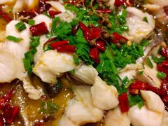 -7017浙菜•建德味(中财店)