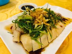 葱油淋鸡-粤·向群饭店(泮塘路店)