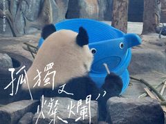 -武汉动物园