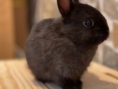 -龙猫仔乐园(惠福东路店)