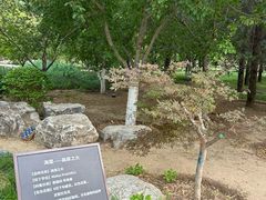 -元大都城垣遗址公园