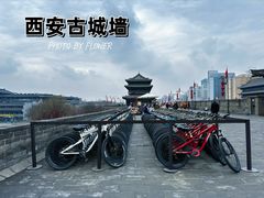 -西安城墙·碑林历史文化景区