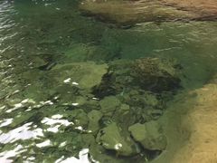 -白云源风景区