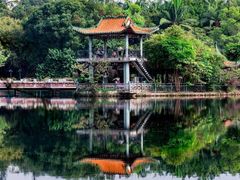 -深圳龙潭公园