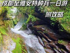 -碧峰峡风景区