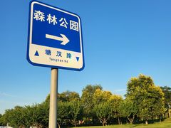 -塘沽森林公园