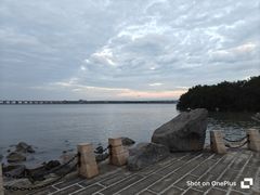 -宝安西湾红树林湿地公园