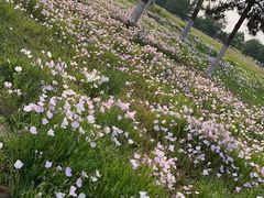 -汉长安城未央宫国家考古遗址公园