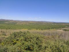 -塞罕坝国家级自然保护区