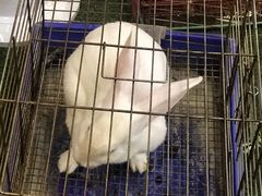 -巴黎春天(浦建店)