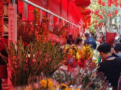 -越秀西湖花市(广州城市广场花卉店)