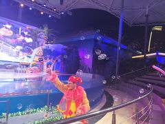 -三亚海昌梦幻海洋不夜城