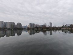 -洋湖国家湿地公园