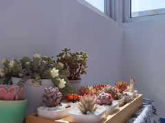 -海底捞火锅(新松江路店)