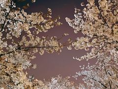 -龙美术馆(西岸馆)