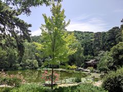 -香山公园