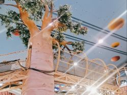 -卡通尼·Safari非洲探索乐园·生日会(金桥国际商业广场店)