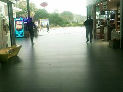 -麦当劳(庐山服务区店)