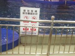 -石家庄极地海洋世界