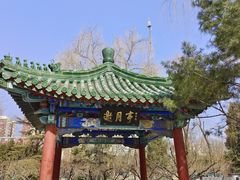 -月坛公园
