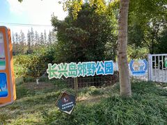 -上海长兴岛郊野公园