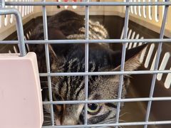 -畜牧兽医站(共江路店)