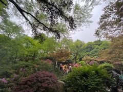 -岳麓山风景名胜区