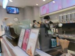 -雾与山茶(大禹城店)