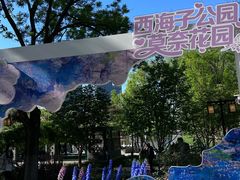 -西海子公园