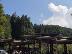 -山王坪喀斯特国家生态公园