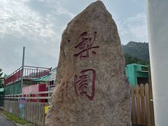 -吉姆冒险世界(蓟州店)