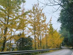 -凤栖山